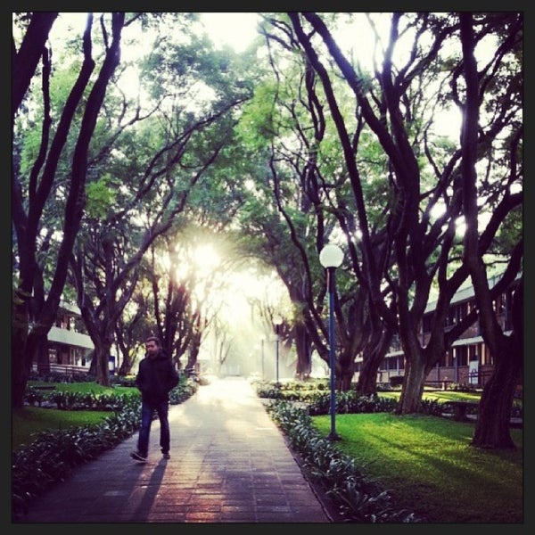 Instituto Tecnológico y de Estudios Superiores de Occidente