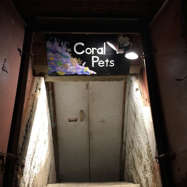 Coral Pets Milford, OH