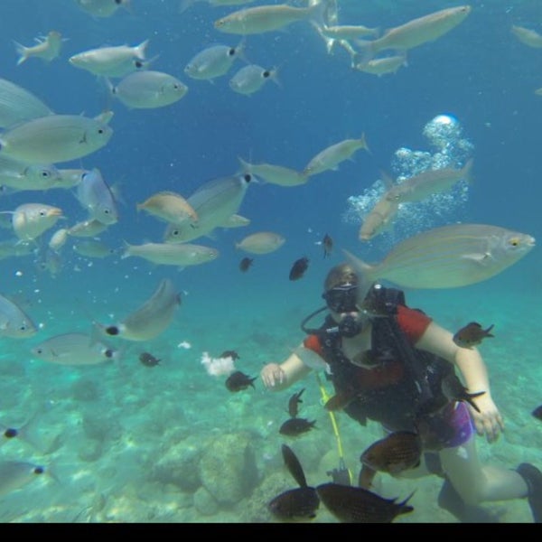 Kalkan Diving