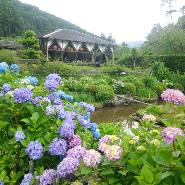 Photos At 花の郷 滝谷花しょうぶ園 宇陀市 奈良県