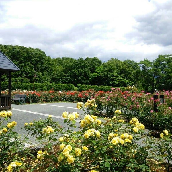 Photos At 馬見丘陵公園 バラ園 Garden