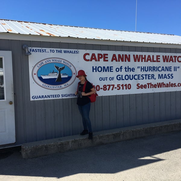 Photo prise au Cape Ann Whale Watch par René v. le6/15/2017