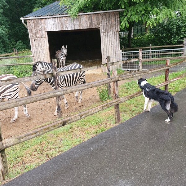 Parc Animalier de Bouillon Zoo à Bouillon