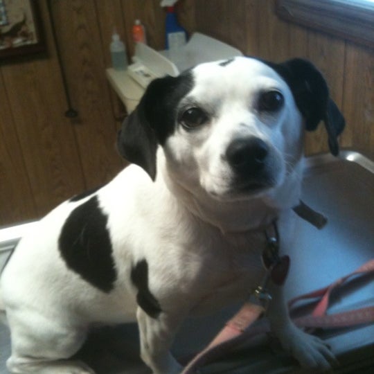 Lafayette Animal Clinic 1005 S Main St