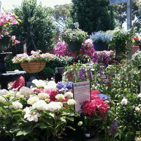 Acorn Nursery And Oaks Café 665 675 Canterbury Rd Acorn Nursery And Oaks Café 665 675