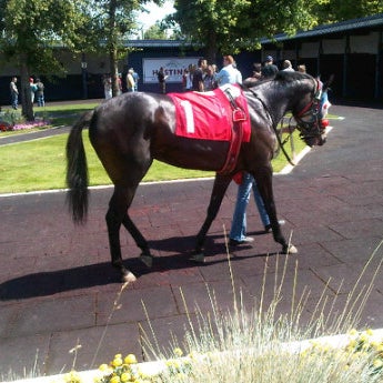 Photo taken at Hastings Racecourse by Gregg L. on 8/7/2011