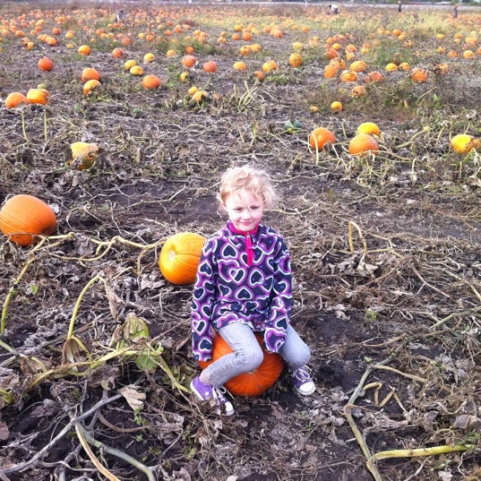 Photo taken at Curtis Orchard &amp; Pumpkin Patch by Jill T. on 10/23/2011