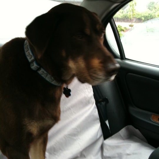 neponset animal hospital phone number