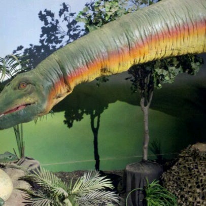 Photo taken at Catawba Science Center by Tom B. on 6/15/2012