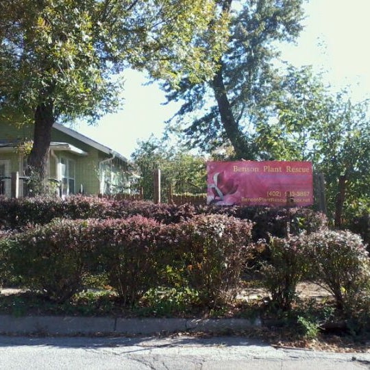 Benson Plant Rescue Flower Store