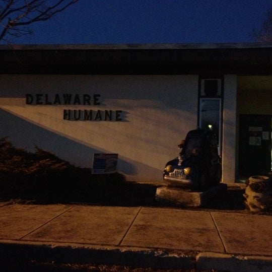 2/18/2012 tarihinde Kimmie S.ziyaretçi tarafından Delaware Humane Association'de çekilen fotoğraf