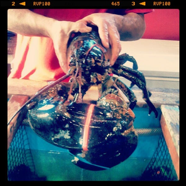 Photo prise au The Lobster Stop par James P. le4/13/2012