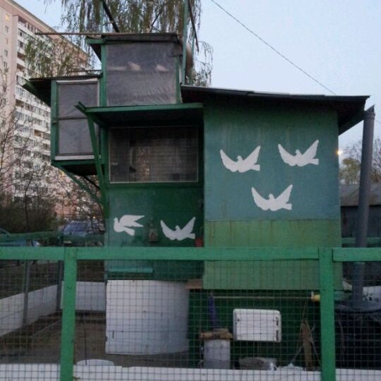 Голубятня на набережной Шитова