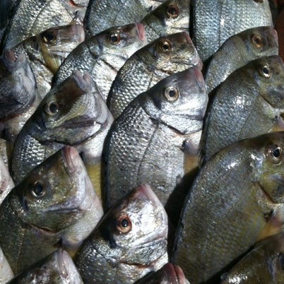 Photo taken at Aqua Best Seafood, Inc by Freeman on 7/20/2012
