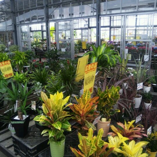 Photos At 東京花壇 Flower Shop In あきる野市 Photos At 東京花壇 Flower Shop In あきる野市