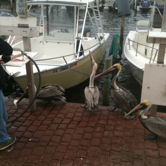 Photo taken at Destin Charter Fishing Service by Charlotte J. on 3/23/2012
