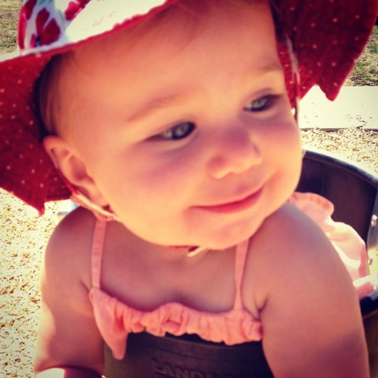 Photos at Jade Street Park Capitola, CA