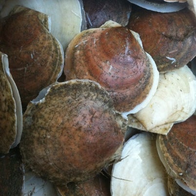 รูปภาพถ่ายที่ Aqua Best Seafood, Inc โดย Freeman เมื่อ 7/18/2012