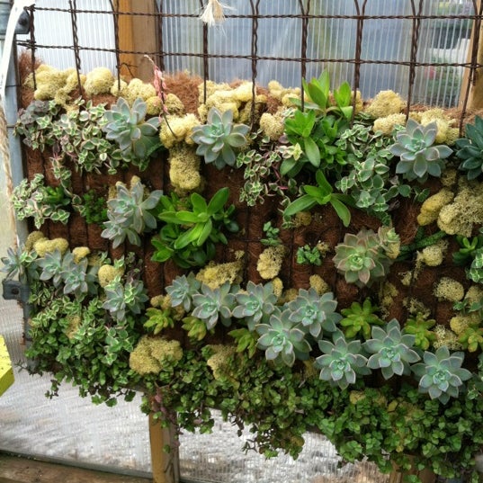 Corn Crib Nursery Garden Center In Coal Valley