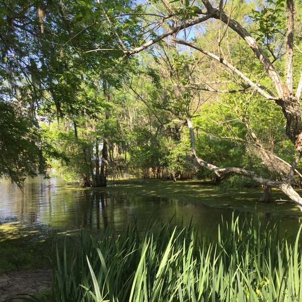 Das Foto wurde bei Cajun Country Swamp Tours von Carlo L. am 4/25/2016 aufgenommen
