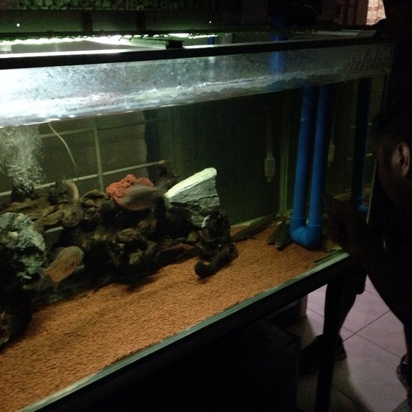 Carmenville Gate 1 Carmenville Subdivision