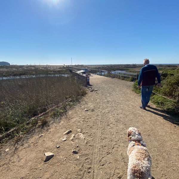 Rodeo Valley Trail Bolinas, CA