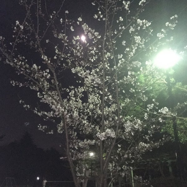 Photos At ハイランド公園 6 Visitors