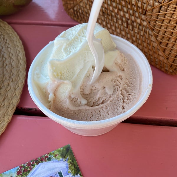 Flamingo Crossing Ice Cream 1105 Duval St