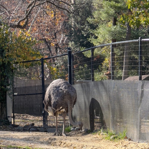 Foto diambil di Smithsonian’s National Zoo oleh Mohammad ♥️🕊 pada 11/23/2023