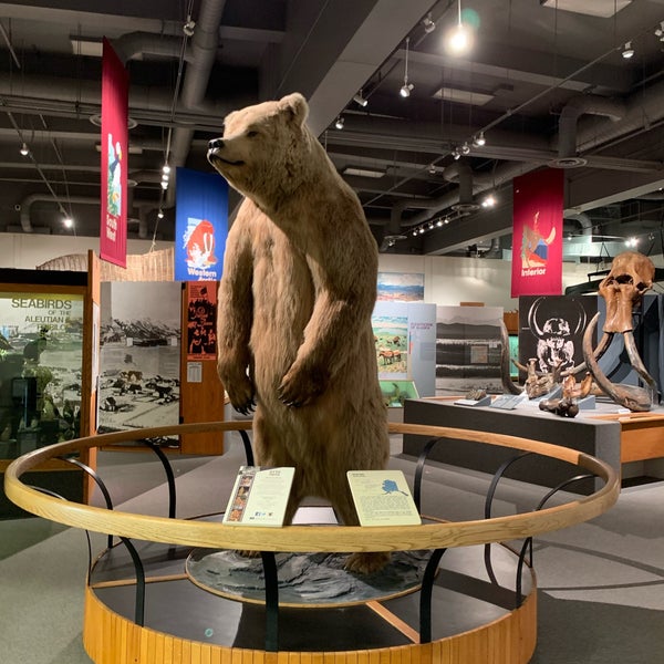 รูปภาพถ่ายที่ University of Alaska Museum of the North โดย Aptraveler เมื่อ 6/28/2021