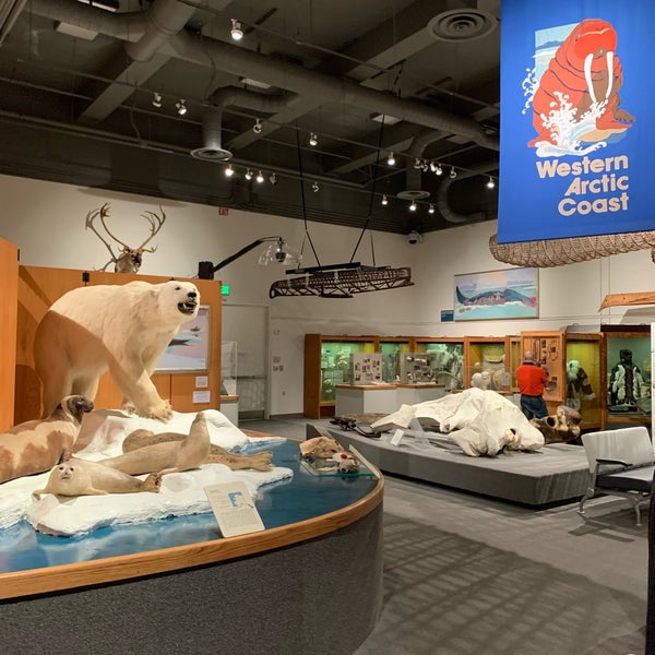 Foto diambil di University of Alaska Museum of the North oleh Aptraveler pada 6/28/2021
