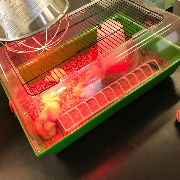 Photos At Aveve Kluisbergen Oost Vlaanderen