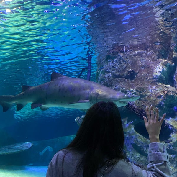 Foto diambil di Antalya Aquarium oleh Melisa C. pada 4/14/2023