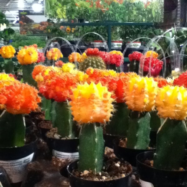 The Home Depot Hardware Store in El Paso