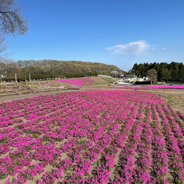 みさと芝桜公園 箕郷町松之沢12 1 みさと芝桜公園 箕郷町松之沢12 1