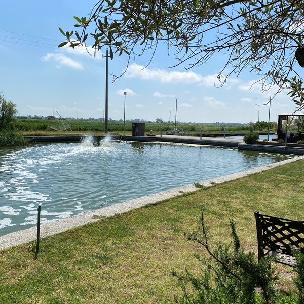 Ristorante La Palafitta 14 Visitors