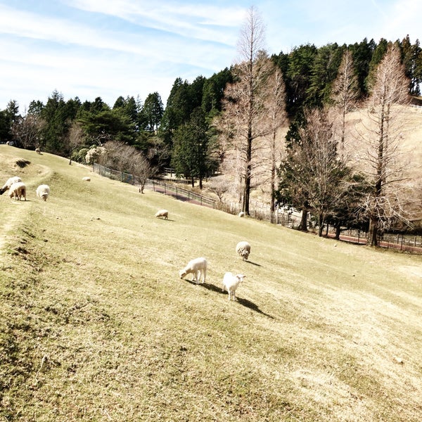 Photos At 六甲山牧場 ゴールデンポイント 灘区 0 Tips