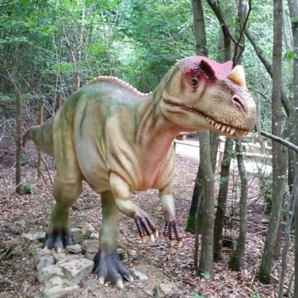 Photo taken at Dinosaurierpark Teufelsschlucht by Michel D. on 7/13/2015