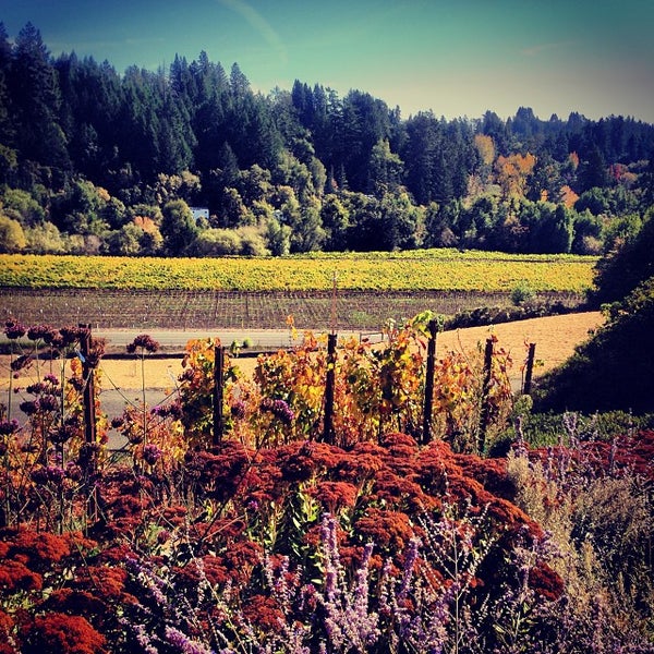 Photo taken at Marimar Estate Vineyards and Winery by Joel S. on 10/28/2013