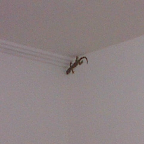 Photos At English Is Easy Sudirman Branch Language School In Denpasar