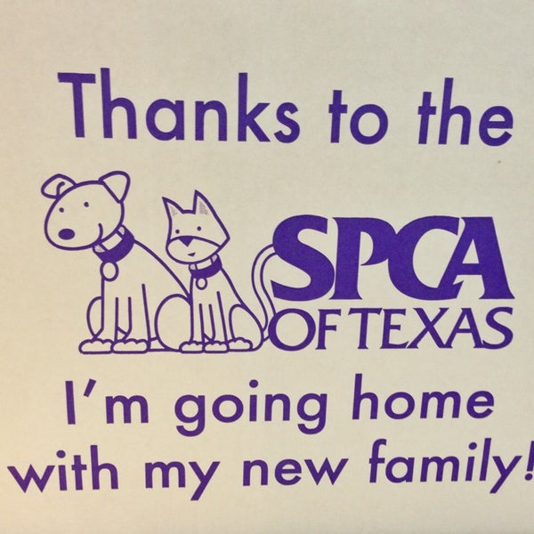 Das Foto wurde bei SPCA of Texas von Faith H. am 11/17/2013 aufgenommen
