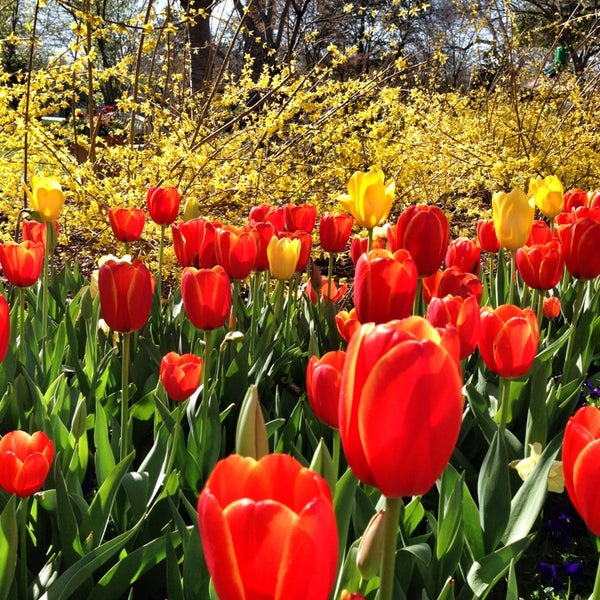 Are Dogs Allowed In The Dallas Arboretum