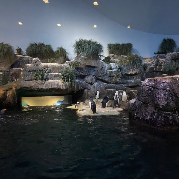 Moody Gardens Aquarium Pyramid Galveston, TX