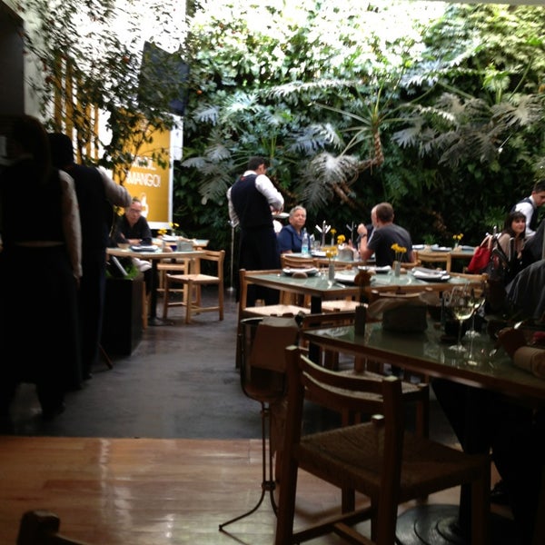 Azul Condesa Nuevo León 68