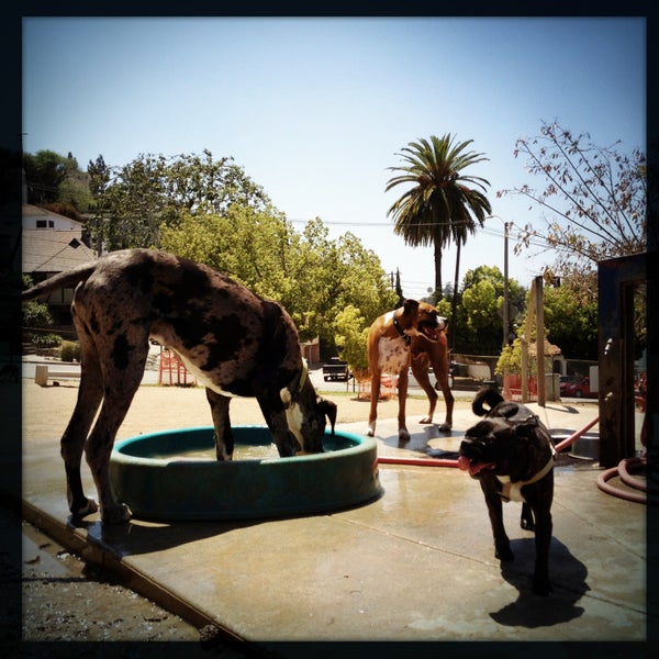 Silver Lake Dog Park Silver Lake 1850 W Silver Lake Dr