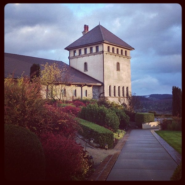 King Estate Winery Vineyard in Eugene