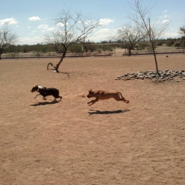 Photos at Udall Dog Park Dog Park in Tucson