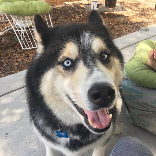 Dollar Tree Applewood Lakewood, CO