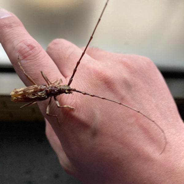 Photos At セブンイレブン 八尾柏村町3丁目店 柏村町3 164 1