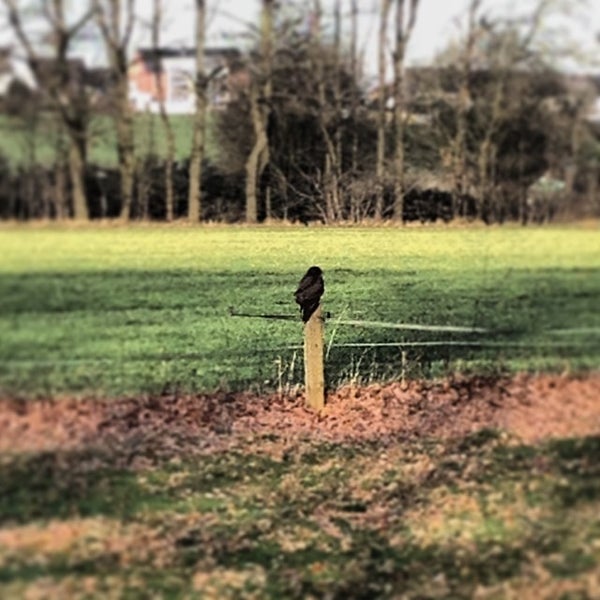 Photos At Ruhrakademie Haus Ruhr Hagener Strasse 241